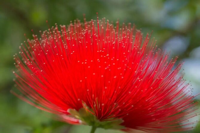 Half Day Private Tour to Botanical Garden in Chania - The ride from your hotel to the Botanical Gardens