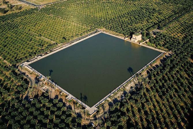 Half-Day Private Tour to Marrakech Gardens with Hotel Pickup - Why this private Marrakech gardens tour works well