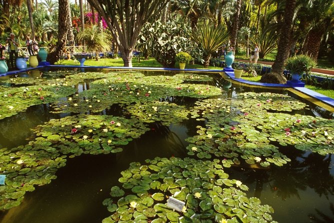 Half-Day Private Tour to Marrakech Gardens with Hotel Pickup - Guide support and the service experience