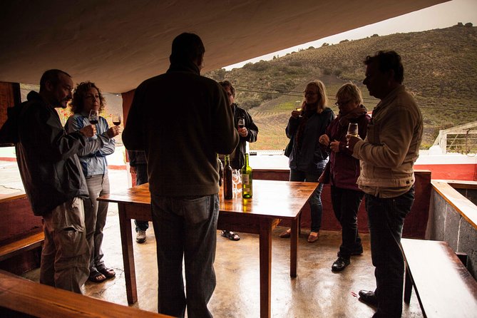 Half day to Bandama Caldera, Botanical experience & Wine-Tasting - Key details at a glance