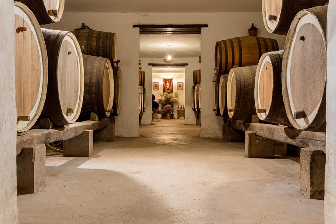 Half day to Bandama Caldera, Botanical experience & Wine-Tasting - The guides make the biggest difference