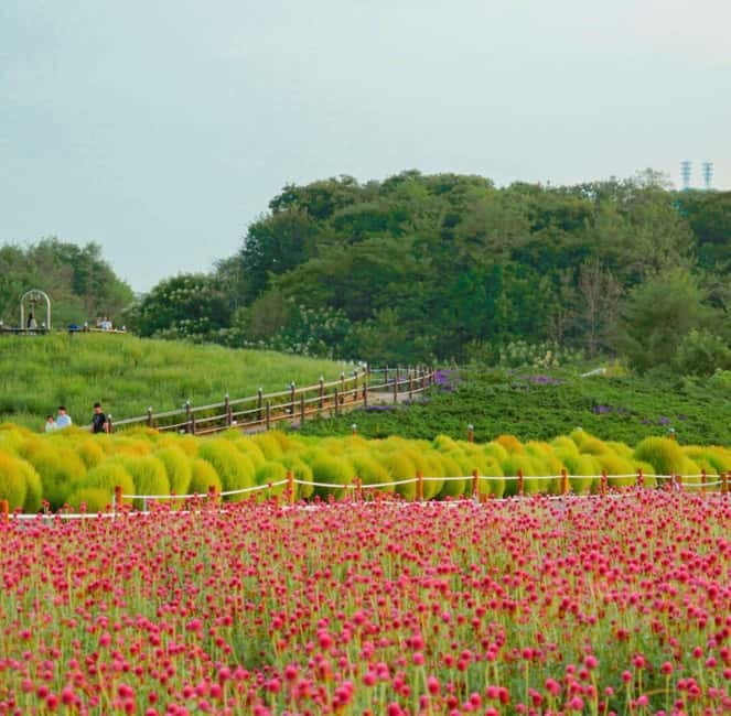 Hantan Canyon & Goseokjeong Flower Garden & Pink Muhly Park - Why Hantan Canyon is the day’s main event