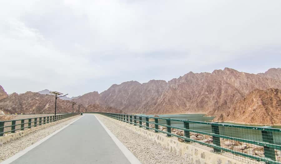 Hatta Safari & Honey Bee Garden Visit - The Honey Bee Garden and why it is worth your time