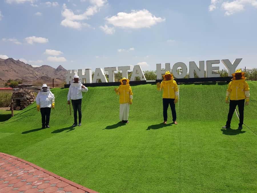Hatta Safari & Honey Bee Garden Visit - Hatta Dam and the final mountain views