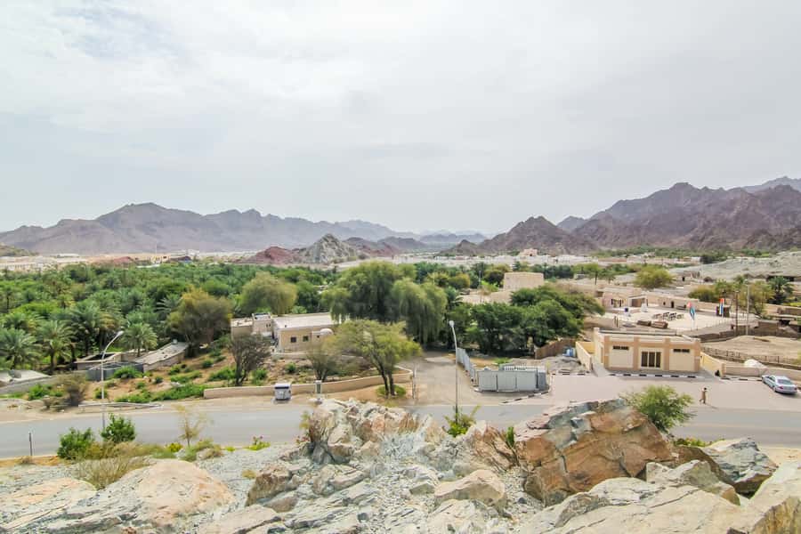 Hatta Safari & Honey Bee Garden Visit - The early drive from Dubai into the Hajar Mountains