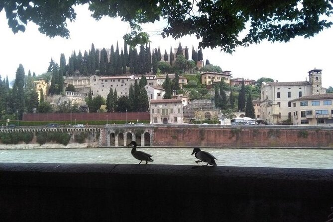 Hidden Verona & Giusti Garden- 3 hour private walking tour - Piazza dei Signori and the Scala family garden