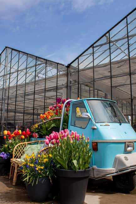 Hillegom: Tulip Barn Entry Ticket - Coffee, food, and craft beer in the greenhouse