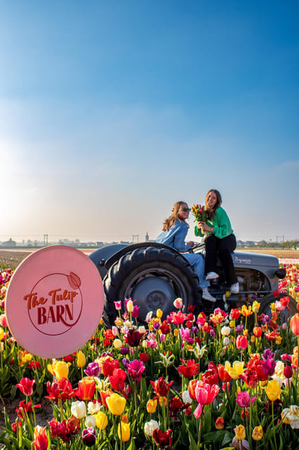 Hillegom: Tulip Barn Entry Ticket - Who will enjoy the Tulip Barn most?