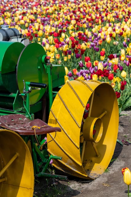 Hillegom: Tulip Barn Entry Ticket - More than 20 photo props for spring pictures