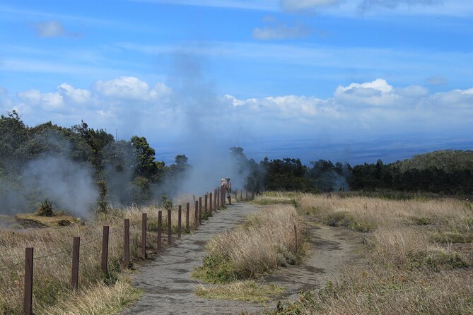 Hilo Shore Excursion: Active Volcano, Lava Tube, Waterfall and Gardens - Walking through Nahuku, Thurston Lava Tube