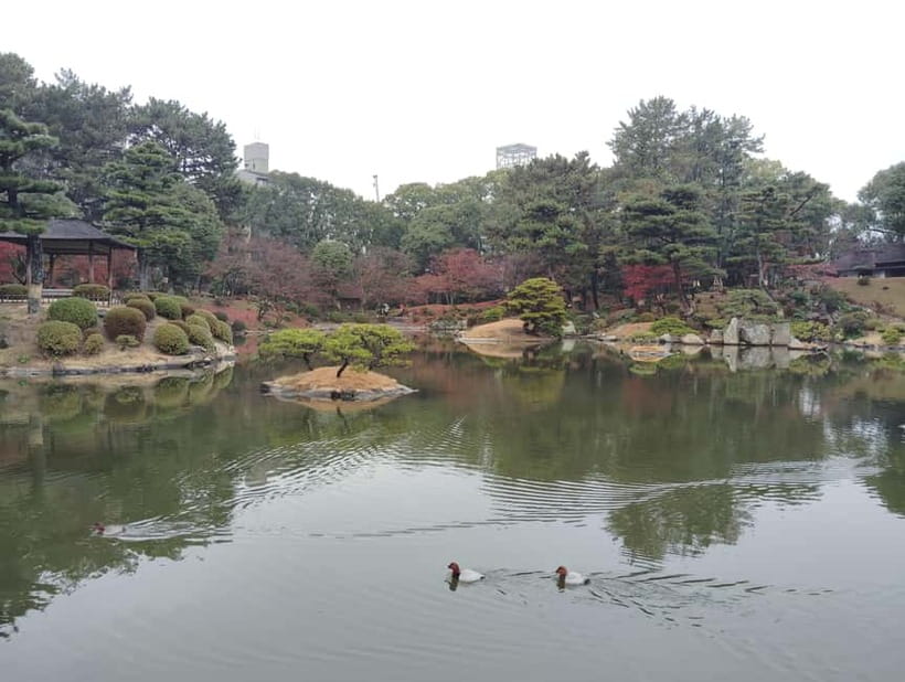 Hiroshima: Shukkei-en Garden with local guide 90min - A 90-minute route with room to slow down