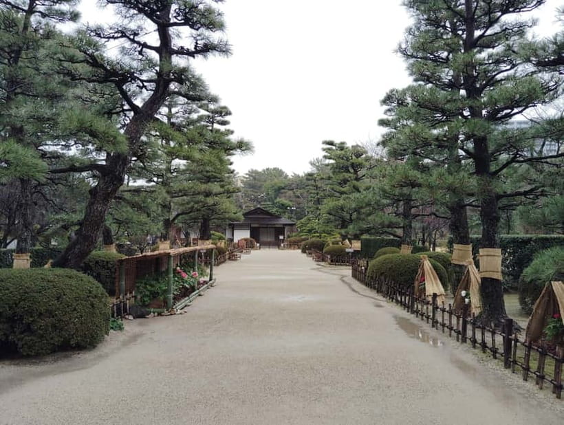 Hiroshima: Shukkei-en Garden with local guide 90min - Who should book this garden walk?