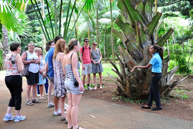 Historical Guided Day Tour : City - Sugar World - Botanical Garden - What this day adds to a beach holiday