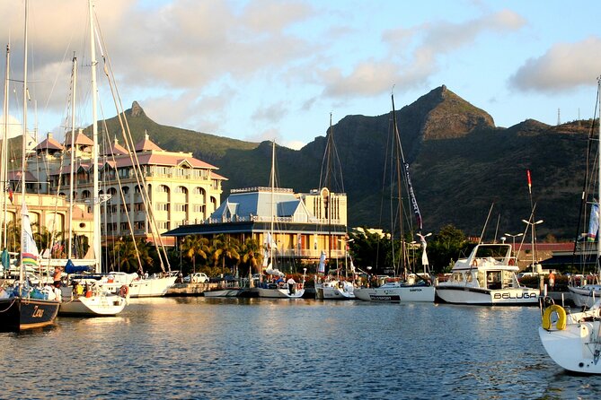 Historical Guided Day Tour : City - Sugar World - Botanical Garden - L’Aventure du Sucre: Mauritius through one crop