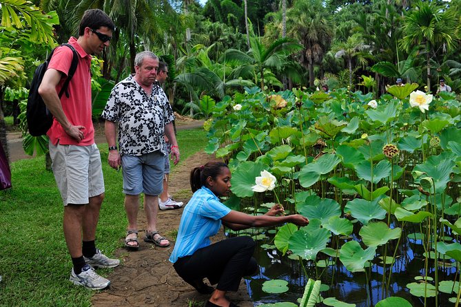Historical Private Guided Tour, City-SugarWorld-Botanical Garden - Min.2 persons - What the Private Format Really Adds