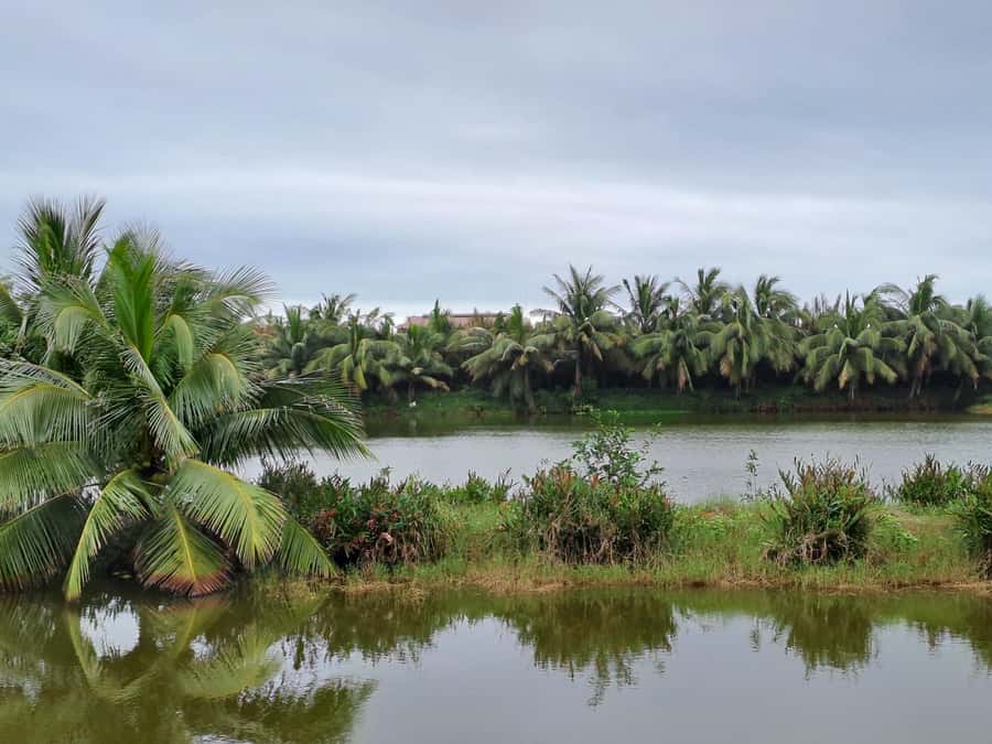 Hoi An Countryside: Biking, basket boat, herb garden, foods - Who should book this experience?