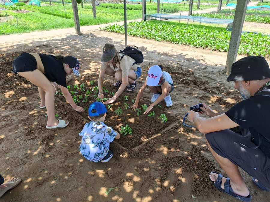 Hoi An Countryside: Biking, basket boat, herb garden, foods - Lunch with local food in Cam Thanh