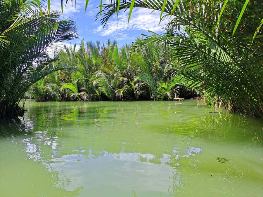 Hoi An Countryside: Biking, basket boat, herb garden, foods - Group size, guide, and comfort