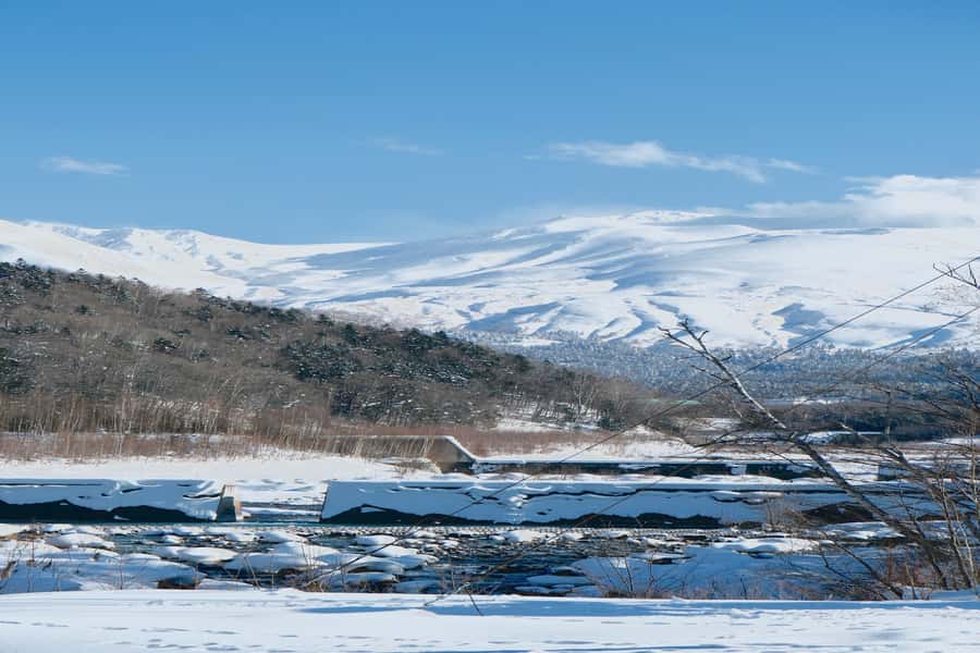 Hokkaido Lavender farm & Furano Flower Tour from Sapporo - The guide and bus experience