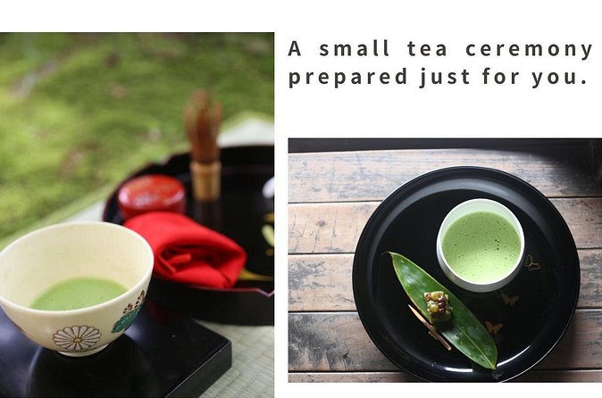 Home Experience: Tea Ceremony & Moss Garden Walk(Day trip) - Moss culture in a private garden