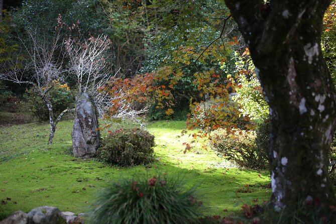 Home Experience: Tea Ceremony & Moss Garden Walk(Day trip) - Matcha in the garden or on tatami