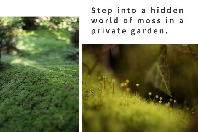 Home Experience: Tea Ceremony & Moss Garden Walk(Day trip) - Cooking lunch together in the valley