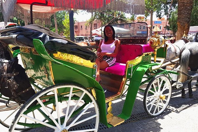 Horse and Carriage Ride with Majorelle Garden - Why a carriage is a good way to see Marrakech