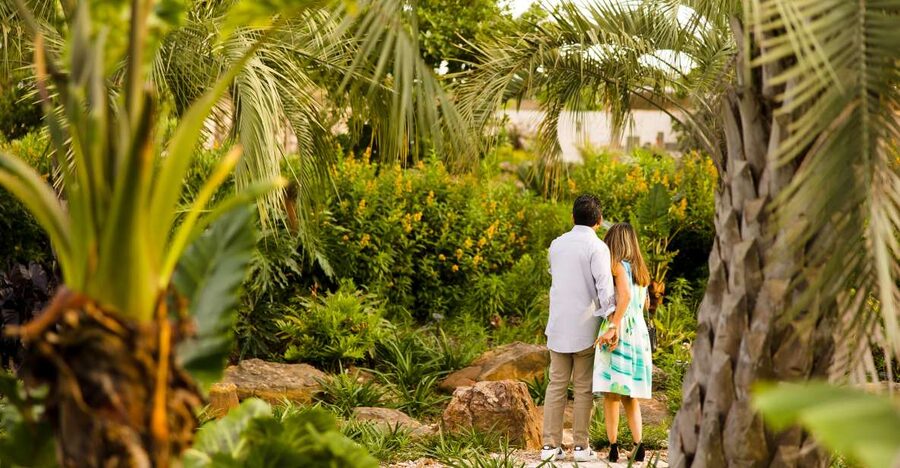 Houston: Houston Botanic Garden Entry Ticket - Key points to know before you go
