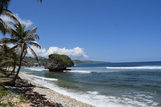 Hunte's Garden and St Nicholas Abbey small group Barbados tour - Cherry Tree Hill delivers the big photograph