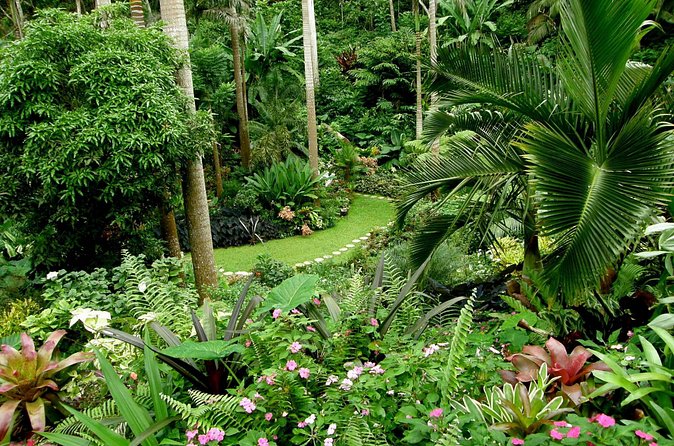Hunte's Garden and St Nicholas Abbey small group Barbados tour - Lunch and the value of the $155 price