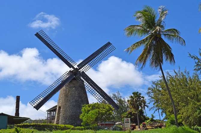 Hunte's Garden and St Nicholas Abbey small group Barbados tour - Hunte’s Garden: the strongest stop on the route