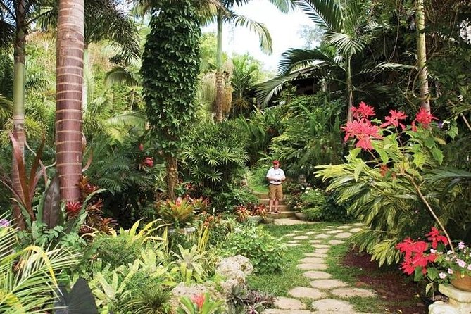 Hunte's Gardens - The drive into central Barbados