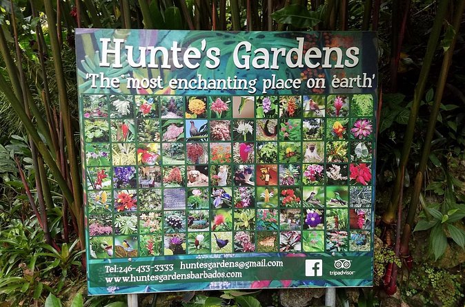 Hunte's Gardens - Anthony Hunte’s home and the human story