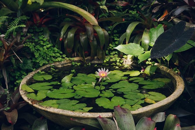 Hunte's Gardens - How long you should spend there