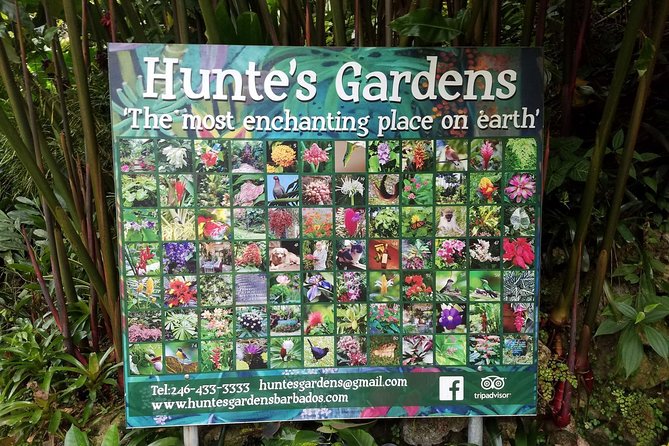 Hunte's Gardens - What the $116.44 price really buys