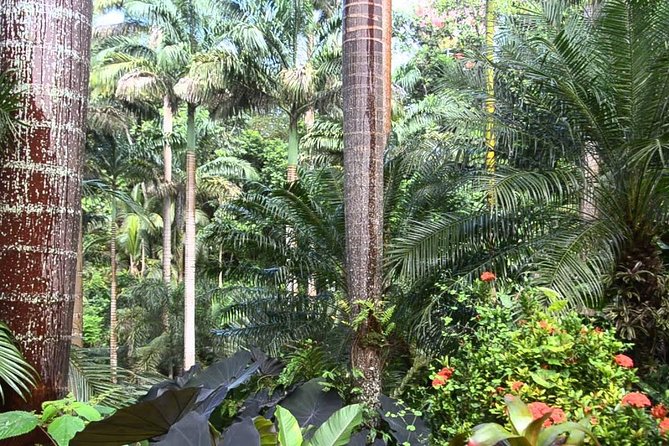 Hunte's Gardens - Who will enjoy this garden most