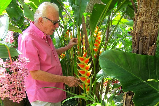 Hunte's Gardens - Entering the gully and following the paths