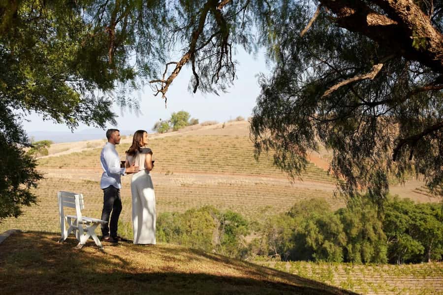 Hunter Valley: Wine Tour with 3 Tastings and Garden Lunch - The guides can shape the whole day