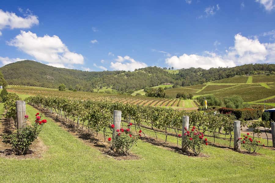 Hunter Valley: Wine Tour with 3 Tastings and Garden Lunch - What $166 gets you