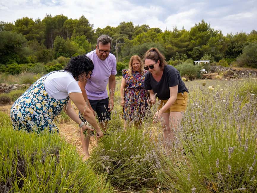 Hvar: Lavender Fields, Honey, and Local Product Tasting - Panoramic stops across terraces and the Stari Grad field