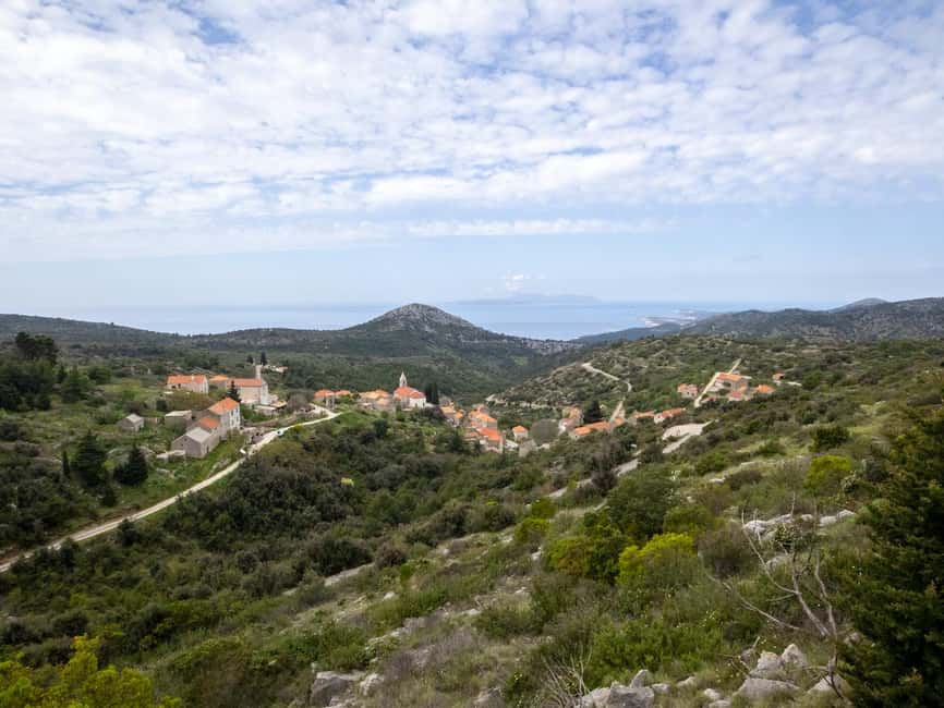 Hvar: Lavender Fields, Honey, and Local Product Tasting - The Lavedner family farm in Jelsa