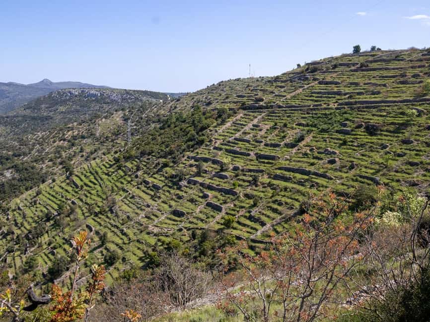 Hvar: Lavender Fields, Honey, and Local Product Tasting - Who will enjoy this Hvar tour most