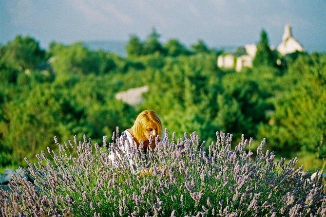 Hvar Lavender Small Group Tour - Why Hvar’s lavender story is worth your time