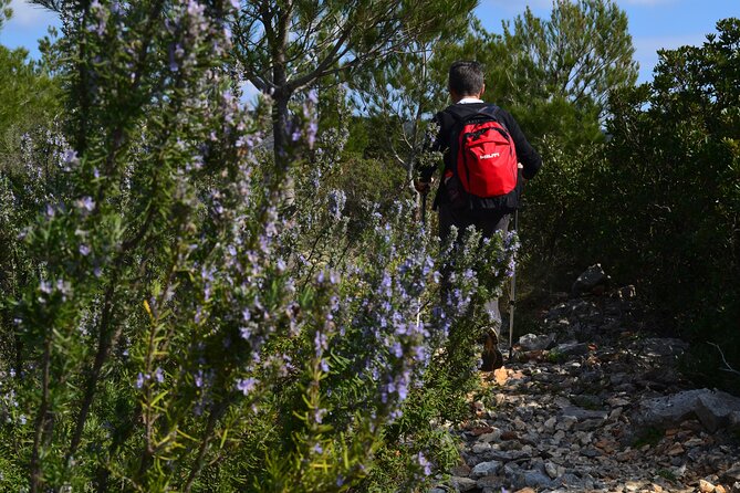 Hvar Lavender Tour - Key points to know before booking