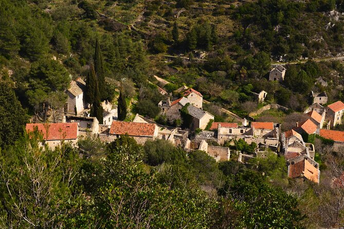 Hvar Lavender Tour - Is $96.23 a fair price?