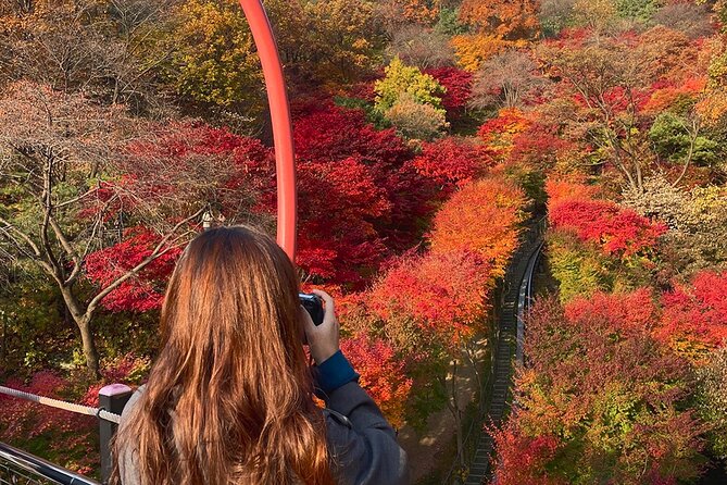 Hwadam Botanic Garden and Namhansanseong and Folk Village Trip - Why this day works for Seoul visitors