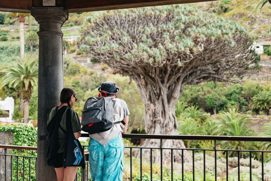 Icod de los Vinos: Dragon Tree & Botanical Garden Ticket - Is the $5 Ticket Good Value?
