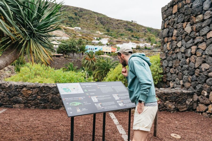 Icod de los Vinos: Dragon Tree & Botanical Garden Ticket - Practical Details for a Smooth Visit