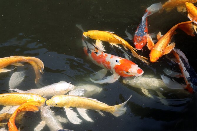 Imperial Palace East Garden and Edo Castle Walking Tour in Tokyo - What the tour does not include