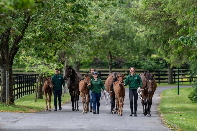 Irish National Stud & Gardens Skip the line Entrance - How long should you allow?